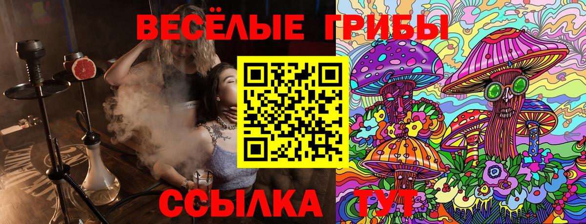 Волжский  Псилоцибиновые грибы Psilocybe  Вход с VPN 